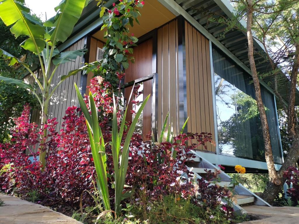 هتل جامبو مارا سافاری لاج